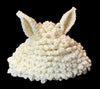 Sally Sheep & Ayla Alcapa Hats - Crochet PATTERN  English USA